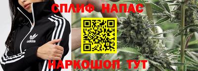 мдпв Кандалакша